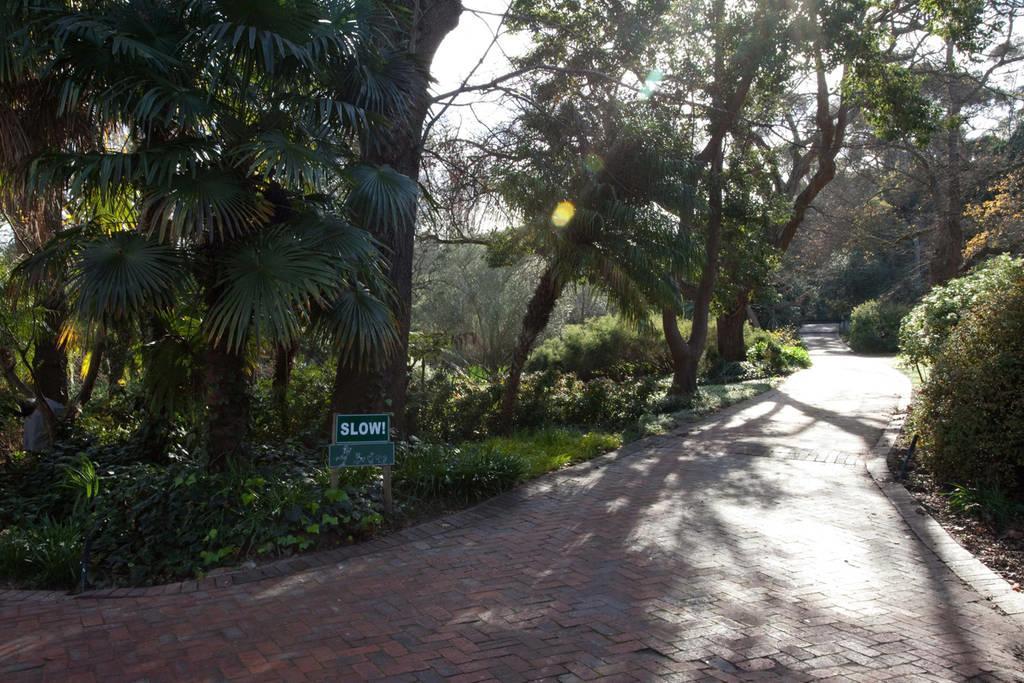 Viettz Suite Stellenbosch Buitenkant foto