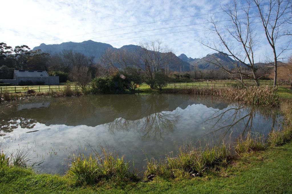 Viettz Suite Stellenbosch Buitenkant foto